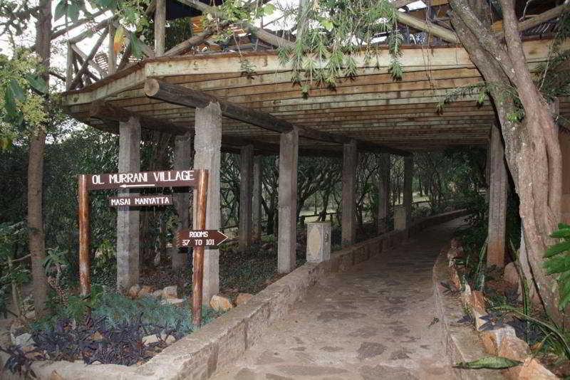 Masai Mara Sopa Lodge Масаи-Мара Экстерьер фото